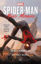 Spider-Man: Öfkeli Kanatlar resmi