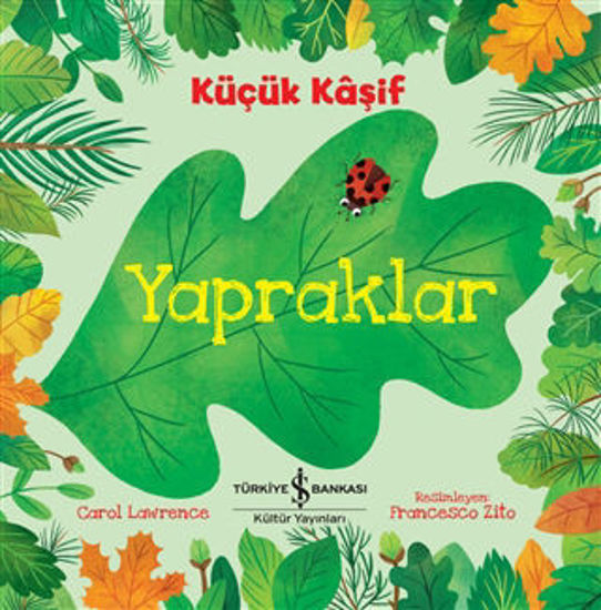 Yapraklar - Küçük Kaşif resmi