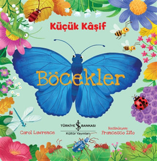 Böcekler - Küçük Kaşif resmi