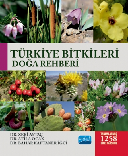 Türkiye Bitkileri Doğa Rehberi resmi