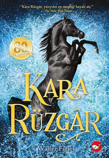 Kara Rüzgar resmi