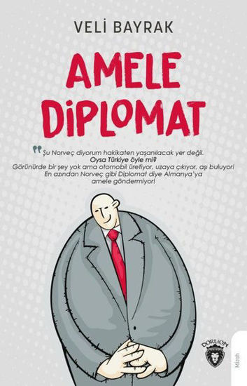 Amele Diplomat resmi