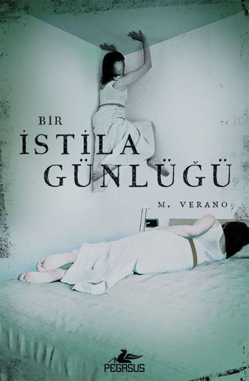 Bir İstila Günlüğü resmi