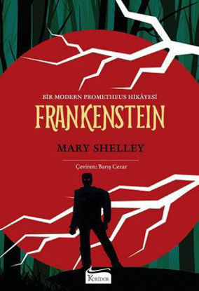 Frankenstein - Bir Modern Prometheus Hikayesi - Bez Ciltli resmi