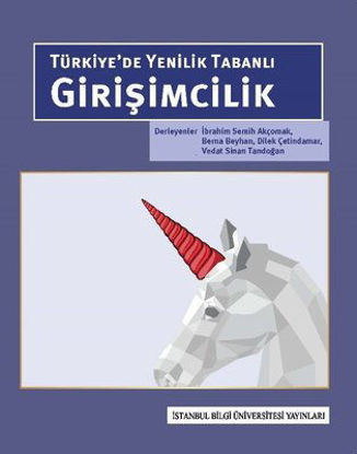 Türkiye'de Yenilik Tabanlı Girişimcilik resmi