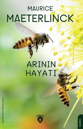 Arının Hayatı resmi
