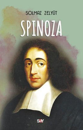 Spinoza resmi
