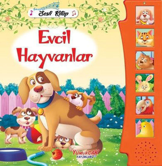 Evcil Hayvanlar - Sesli Kitap resmi