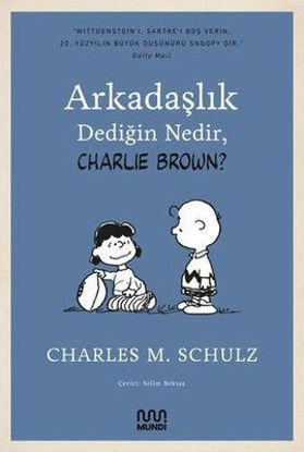 Arkadaşlık Dediğin Nedir Charlie Brown? resmi