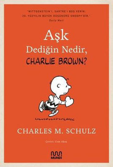 Aşk Dediğin Nedir Charlie Brown? resmi