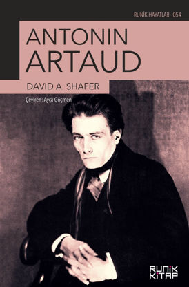 Antonin Artaud resmi