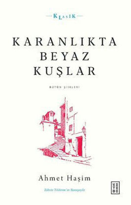 Karanlıkta Beyaz Kuşlar resmi