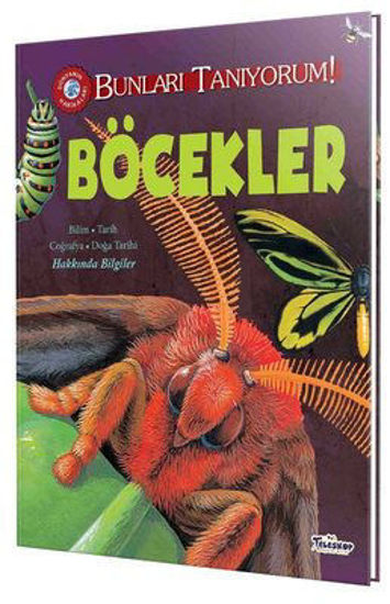 Böcekler resmi