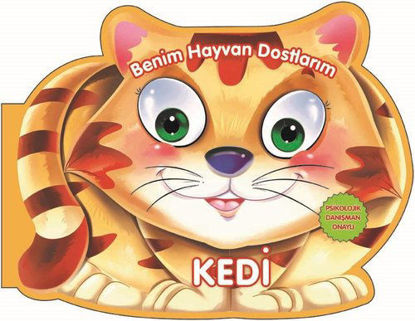 Benim Hayvan Dostlarım - Kedi resmi