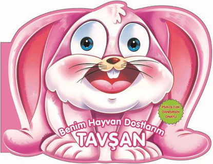 Benim Hayvan Dostlarım - Tavşan resmi