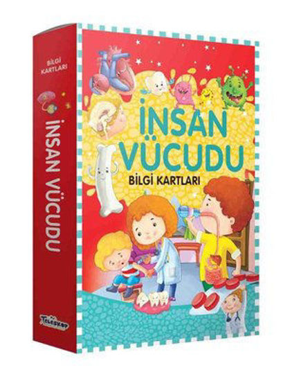 İnsan Vücudu - Bilgi Kartları resmi