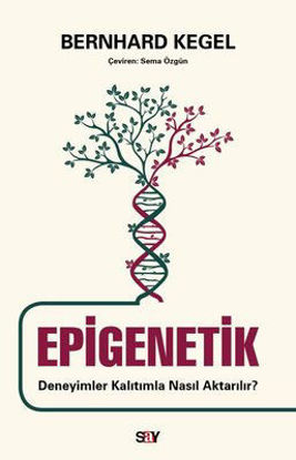 Epigenetik resmi