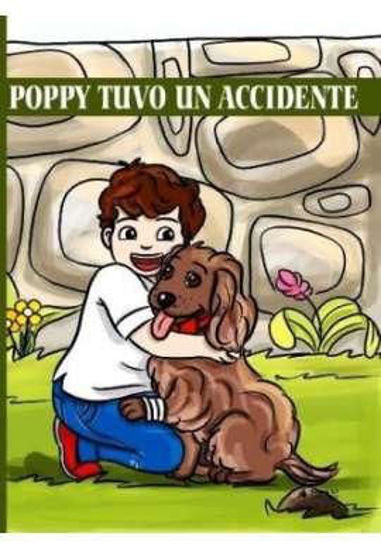 Poppy Tuvo Un Accidente 4 resmi