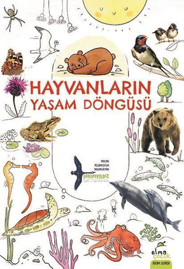 Hayvanların Yaşam Döngüsü resmi