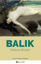 Balık resmi