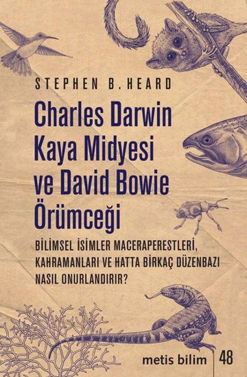 Charles Darwin Kaya Midyesi ve David Bowie Örümceği resmi