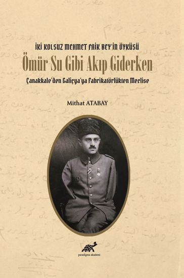 Ömür Su Gibi Akıp Giderken resmi