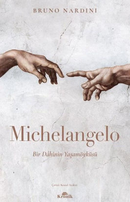 Michelangelo - Bir Dahinin Yaşamöyküsü resmi