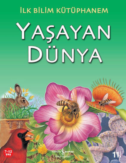 Yaşayan Dünya resmi