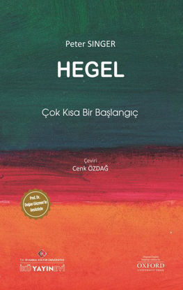 Hegel: Çok Kısa Bir Başlangıç resmi