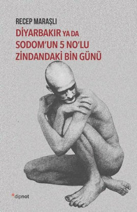 Diyarbakır ya da Sodom'un 5 No'lu Zindandaki Bin Günü resmi