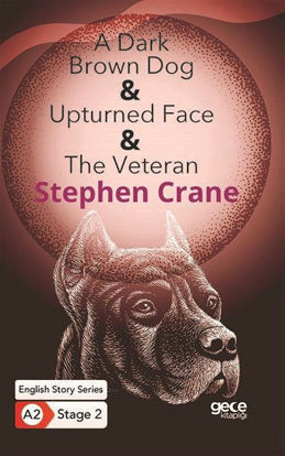 A Dark Brown Dog - Upturned Face - The Veteran resmi