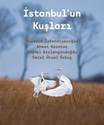 İstanbul'un Kuşları resmi