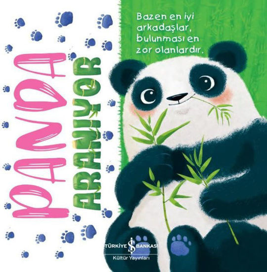 Panda Aranıyor resmi