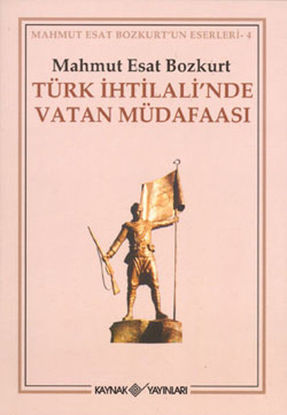 Türk İhtilali'nde Vatan Müdafaası resmi