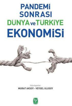 Pandemi Sonrası Dünya ve Türkiye Ekonomisi resmi