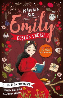 Düşler Vadisi - Mavinin Kızı Emily 5 resmi