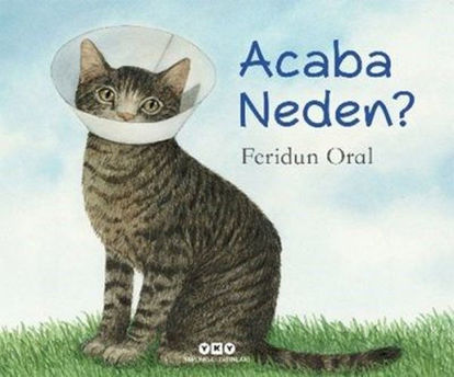 Acaba Neden? resmi