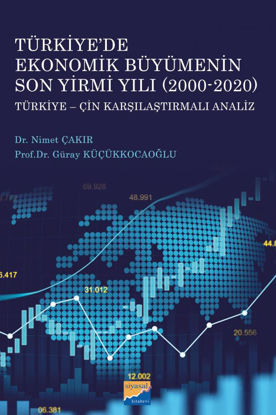 Türkiye’de Ekonomik Büyümenin Son Yirmi Yılı (2000-2020) resmi
