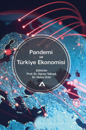 Pandemi ve Türkiye Ekonomisi resmi