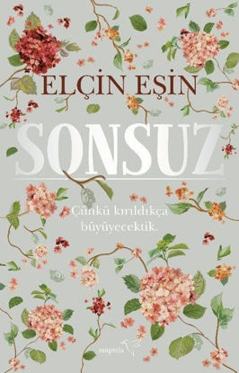 Sonsuz resmi