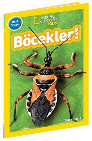 Böcekler! resmi