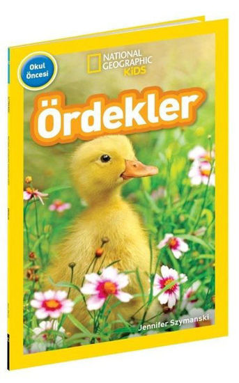 Ördekler resmi