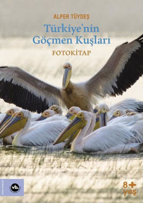 Türkiye’nin Göçmen Kuşları - Fotokitap resmi
