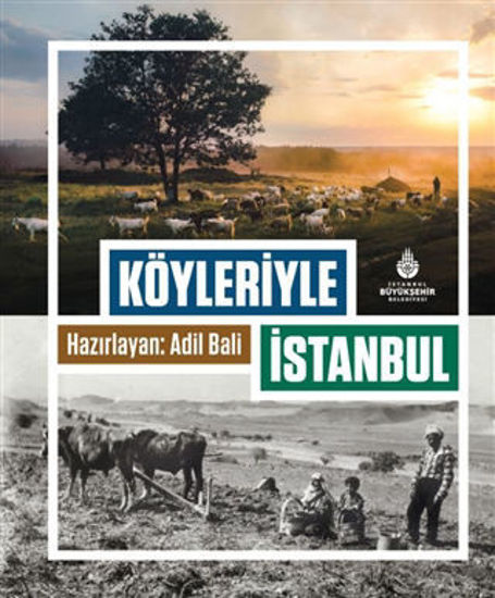 Köyleriyle İstanbul - Ciltli resmi