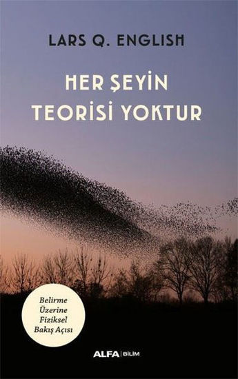 Her Şeyin Teorisi Yoktur resmi