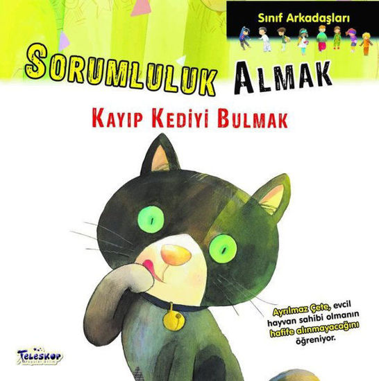 Sorumluluk Almak - Kayıp Kediyi Bulmak resmi