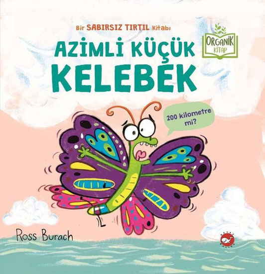 Azimli Küçük Kelebek resmi