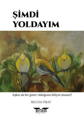 Şimdi Yoldayım resmi