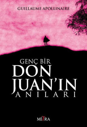 Genç Bir Don Juan'ın Anıları resmi