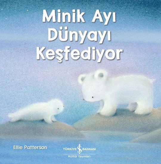 Minik Ayı Dünyayı Keşfediyor resmi